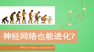 神经网络进化 (Neuro-Evolution)